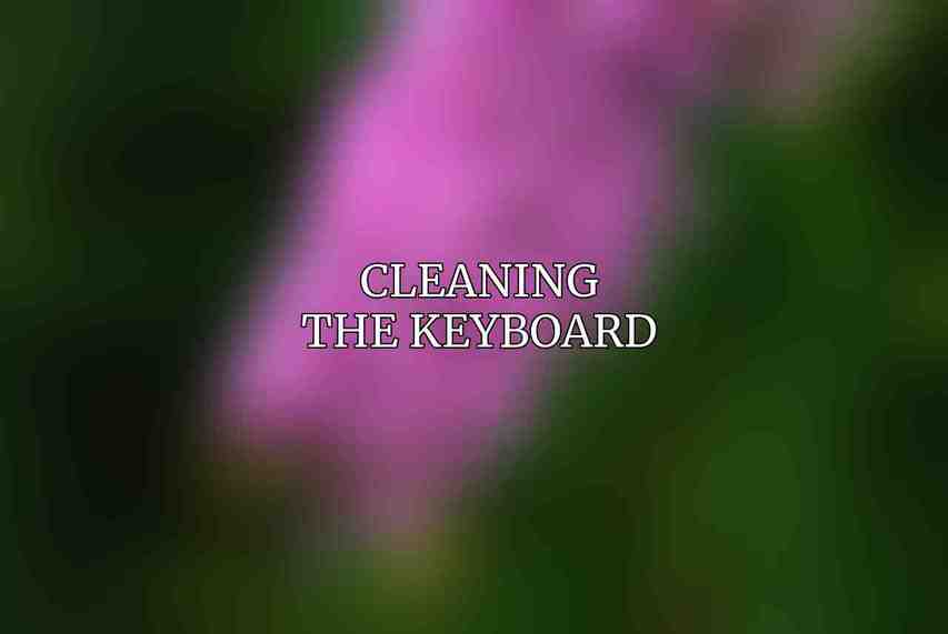 Cleaning the Keyboard