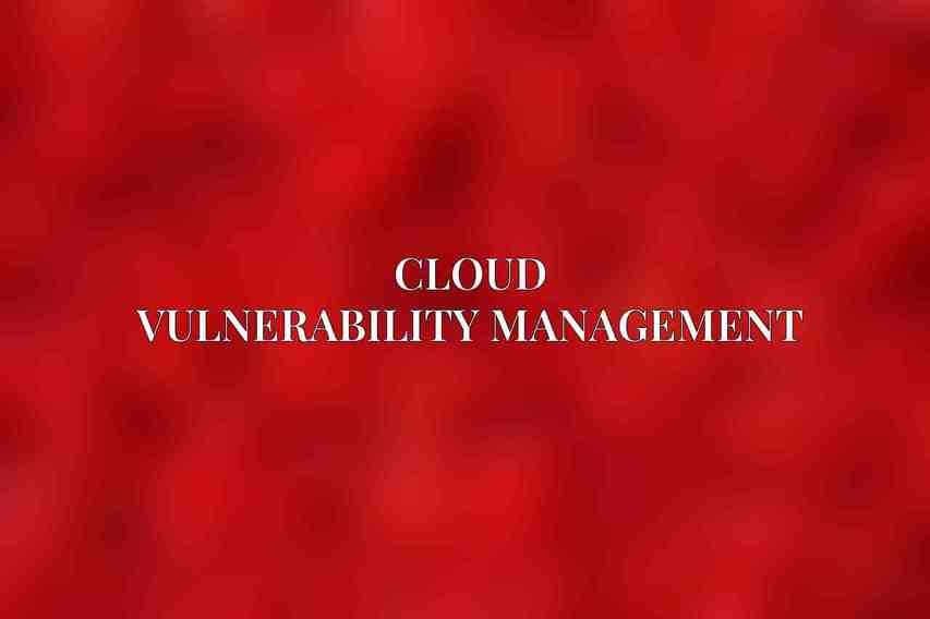 Cloud Vulnerability Management
