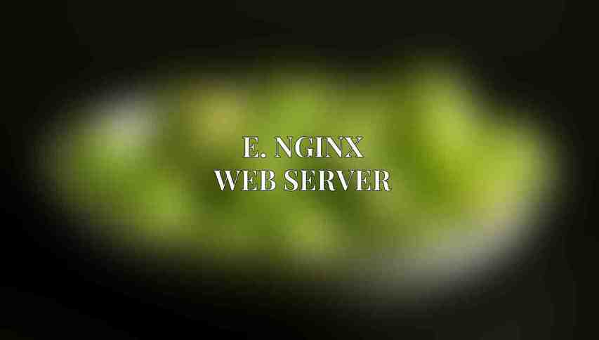 E. NGINX Web Server