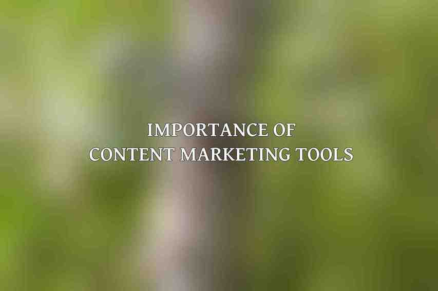 Importance of Content Marketing Tools