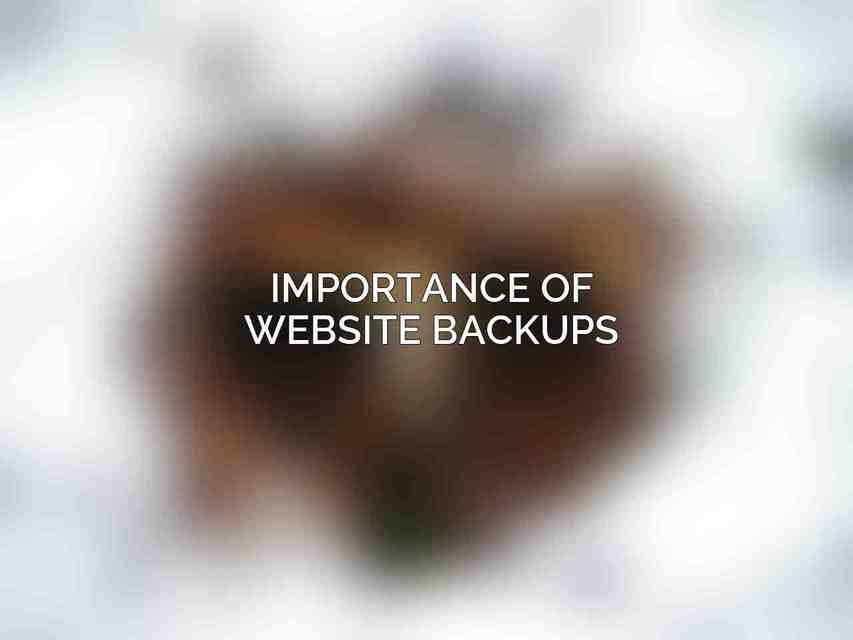 Importance of Website Backups