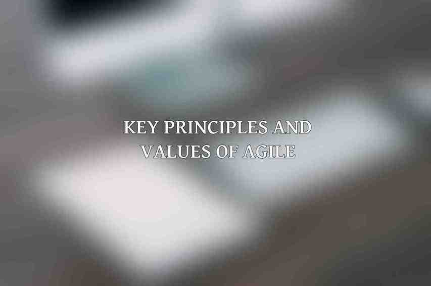 Key Principles and Values of Agile