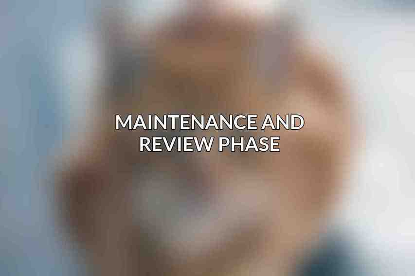 Maintenance and Review Phase