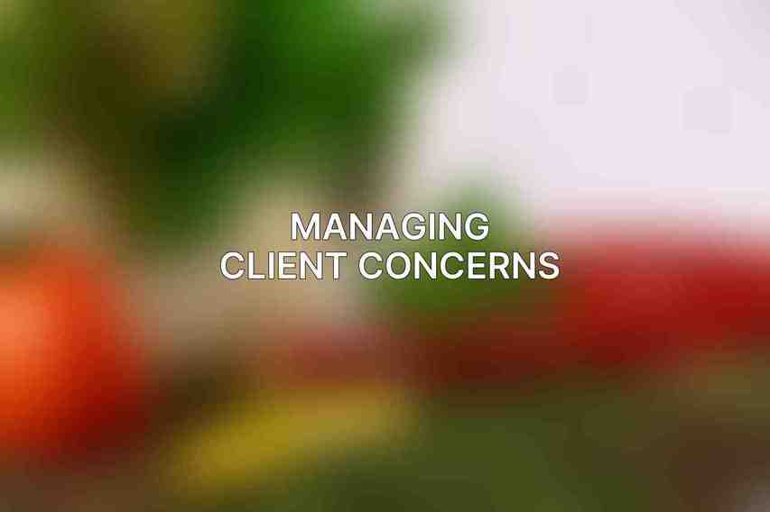 Managing Client Concerns