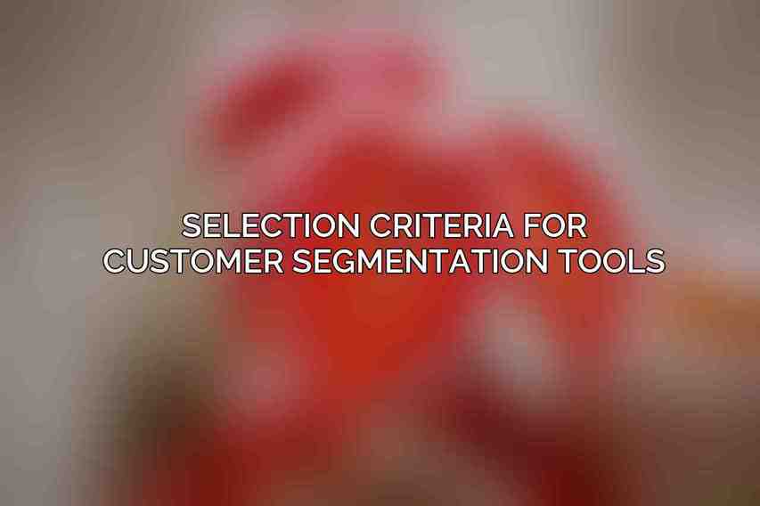 Selection Criteria for Customer Segmentation Tools