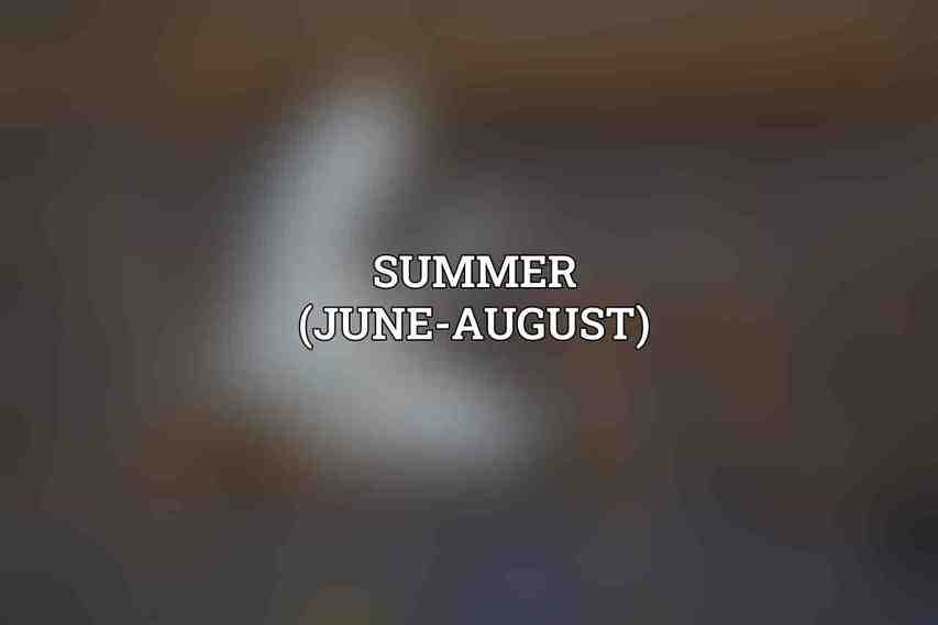 Summer (June-August)