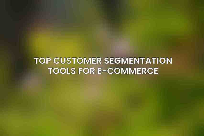 Top Customer Segmentation Tools for E-commerce