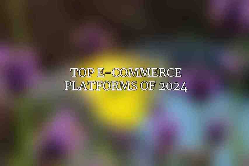Top E-commerce Platforms of 2024