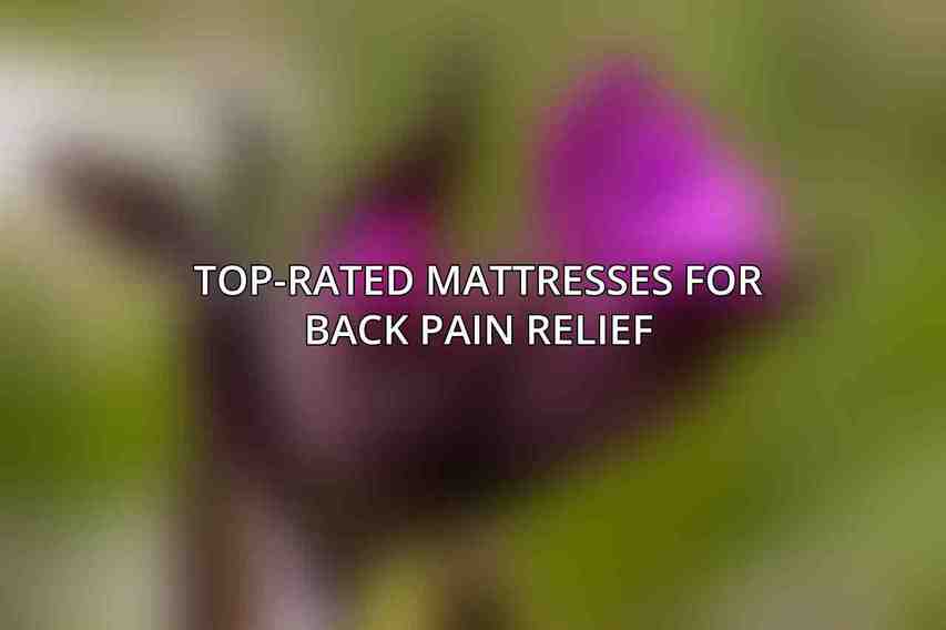 Top-Rated Mattresses for Back Pain Relief