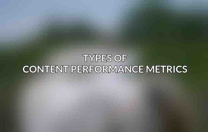 Types of Content Performance Metrics