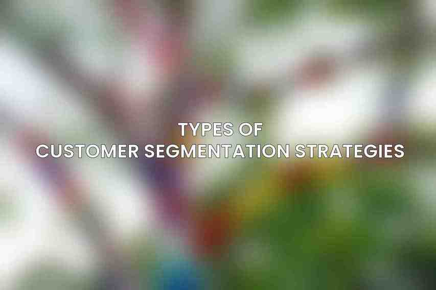 Types of Customer Segmentation Strategies
