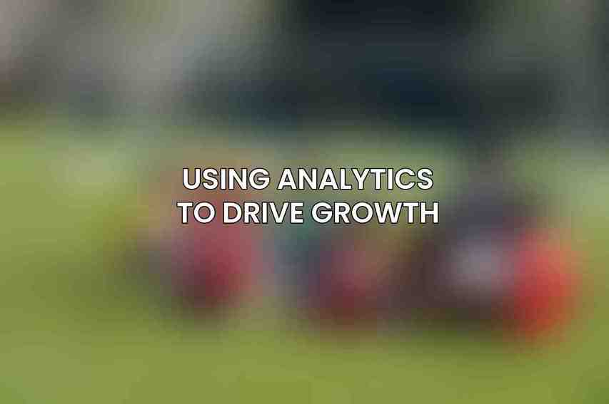 Using Analytics to Drive Growth