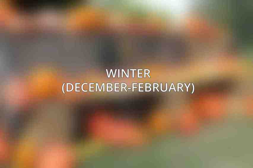 Winter (December-February)