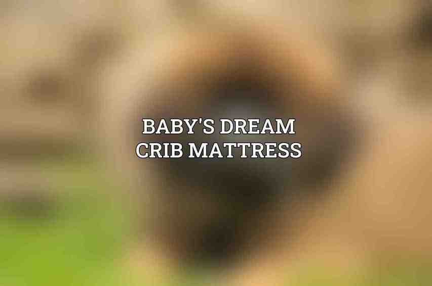 Baby's Dream Crib Mattress