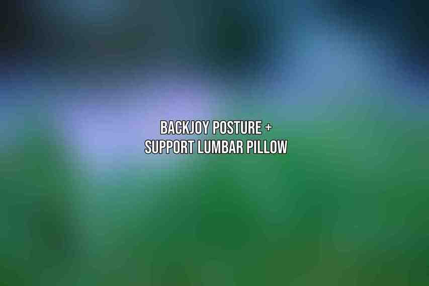 Backjoy Posture + Support Lumbar Pillow