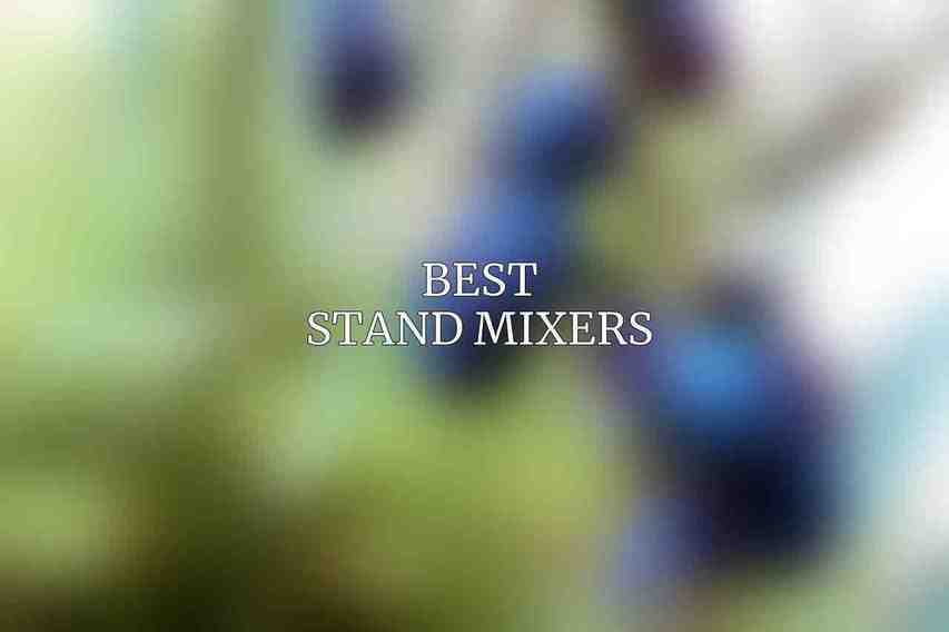 Best Stand Mixers