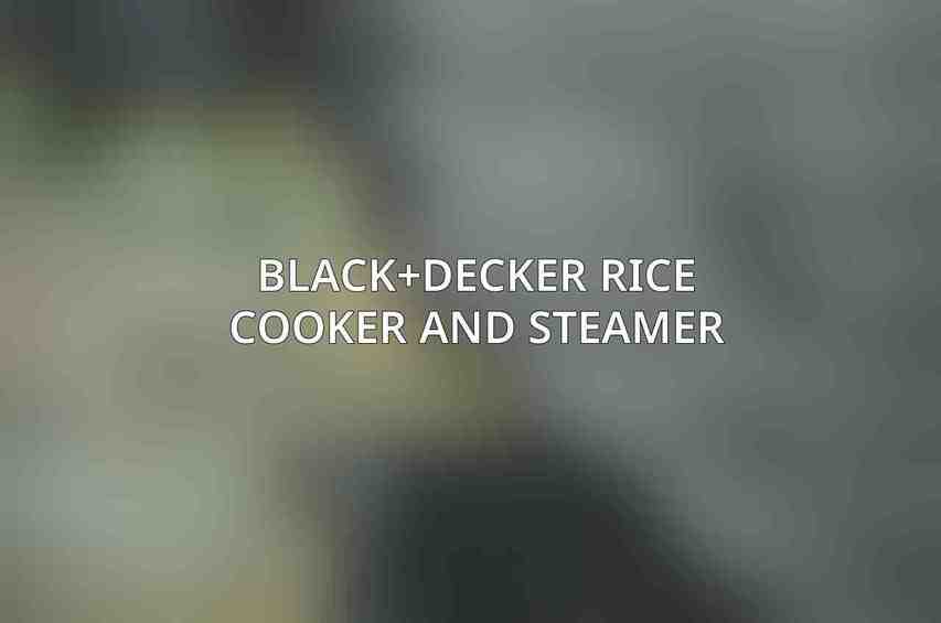 BLACK+DECKER Rice Cooker and Steamer