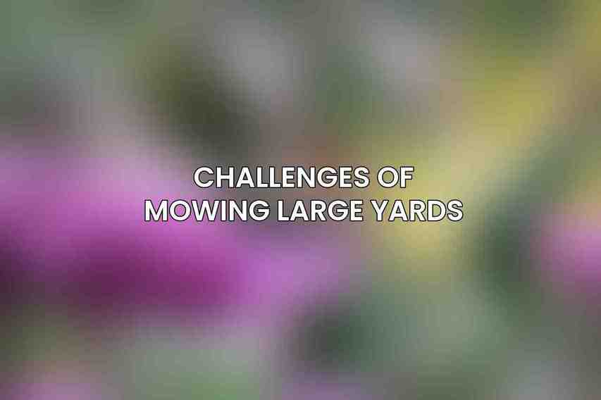 Challenges of Mowing Large Yards