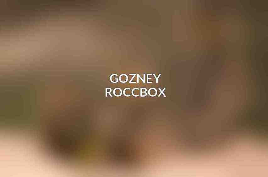 Gozney Roccbox