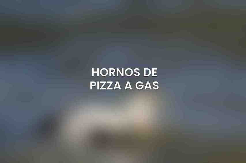 Hornos de Pizza a Gas