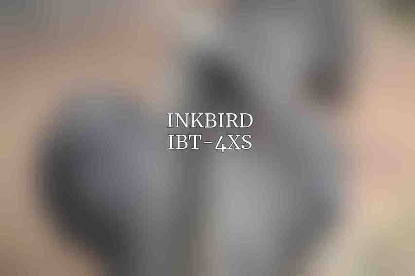 Inkbird IBT-4XS