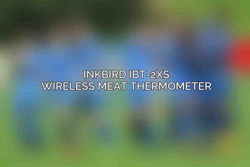 INKBIRD IBT-2XS Wireless Meat Thermometer