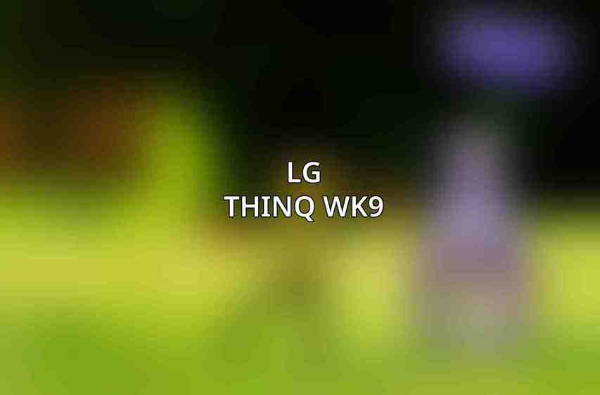 LG ThinQ WK9