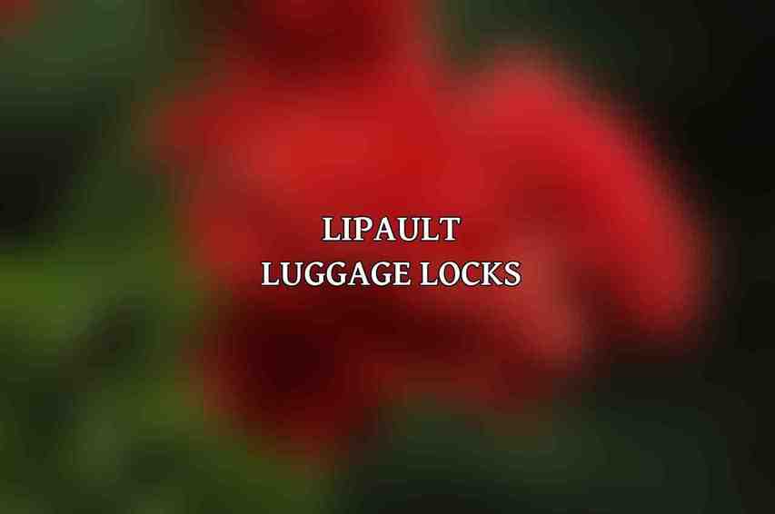 Lipault Luggage Locks