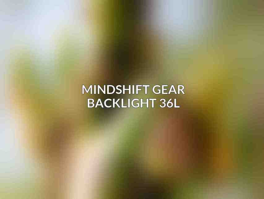 MindShift Gear Backlight 36L