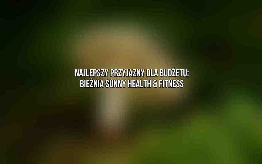 Najlepszy Przyjazny dla Budżetu: Bieżnia Sunny Health & Fitness