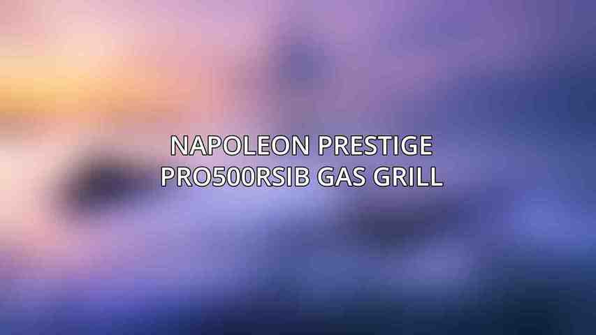 Napoleon Prestige PRO500RSIB Gas Grill