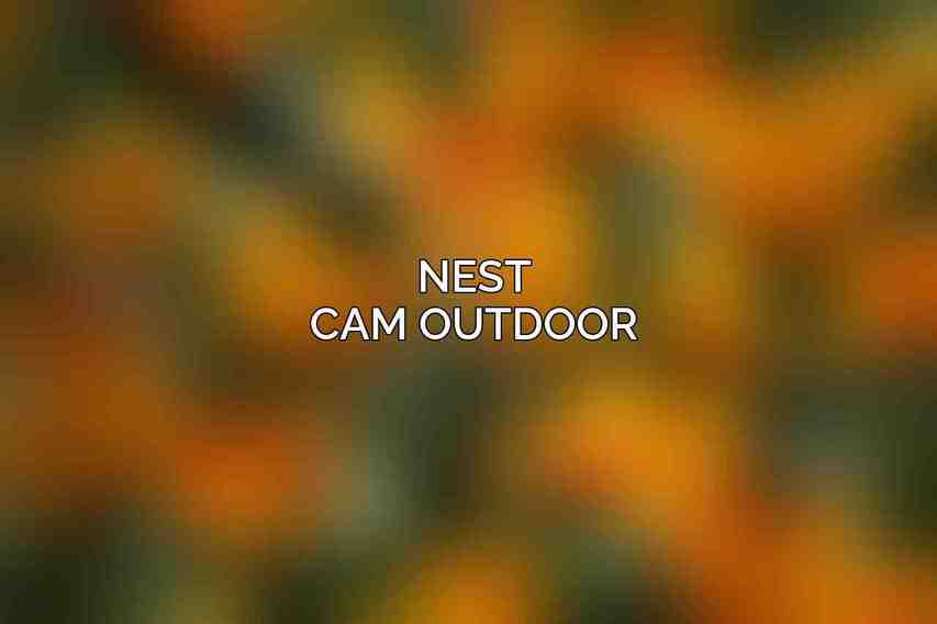 Nest Cam Outdoor