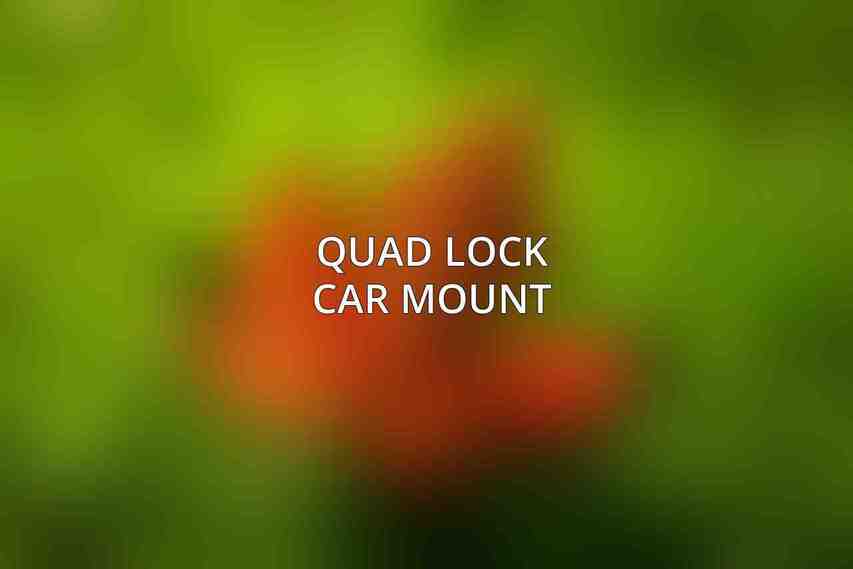 Quad Lock Car Mount