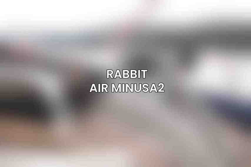 Rabbit Air MinusA2