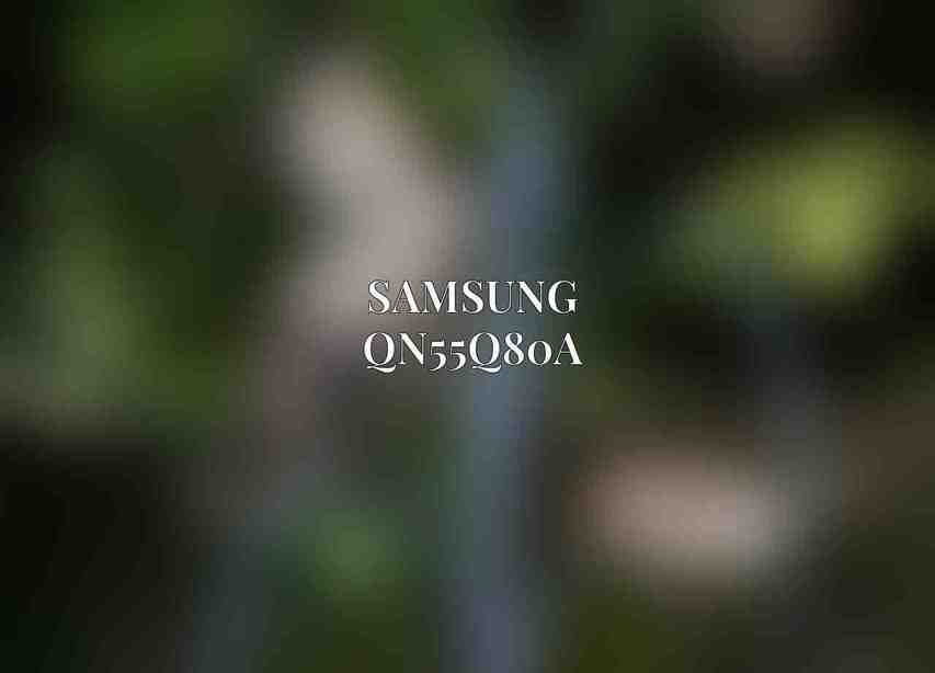 Samsung QN55Q80A