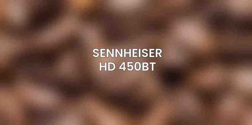 Sennheiser HD 450BT