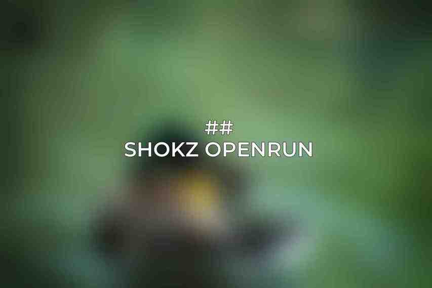 ## Shokz OpenRun