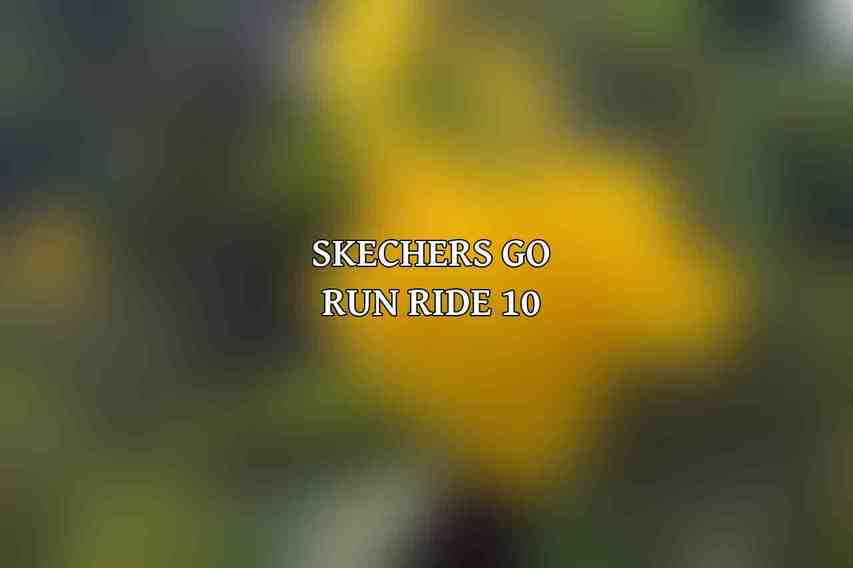 Skechers GO RUN Ride 10