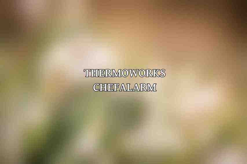 ThermoWorks ChefAlarm