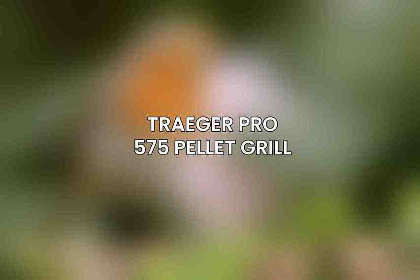 Traeger Pro 575 Pellet Grill