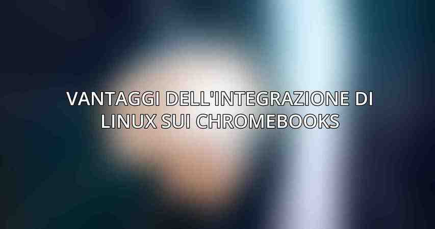 Vantaggi Dell'Integrazione di Linux sui Chromebooks