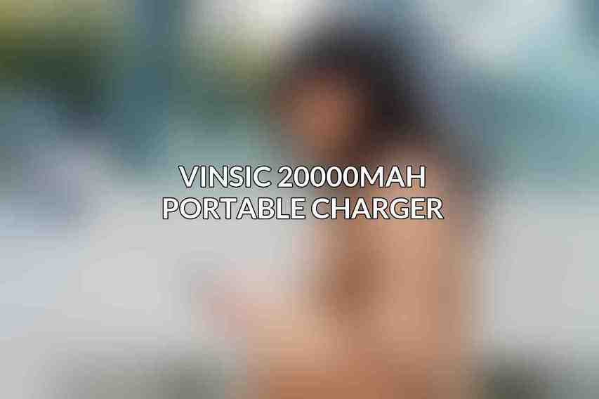 Vinsic 20000mAh Portable Charger