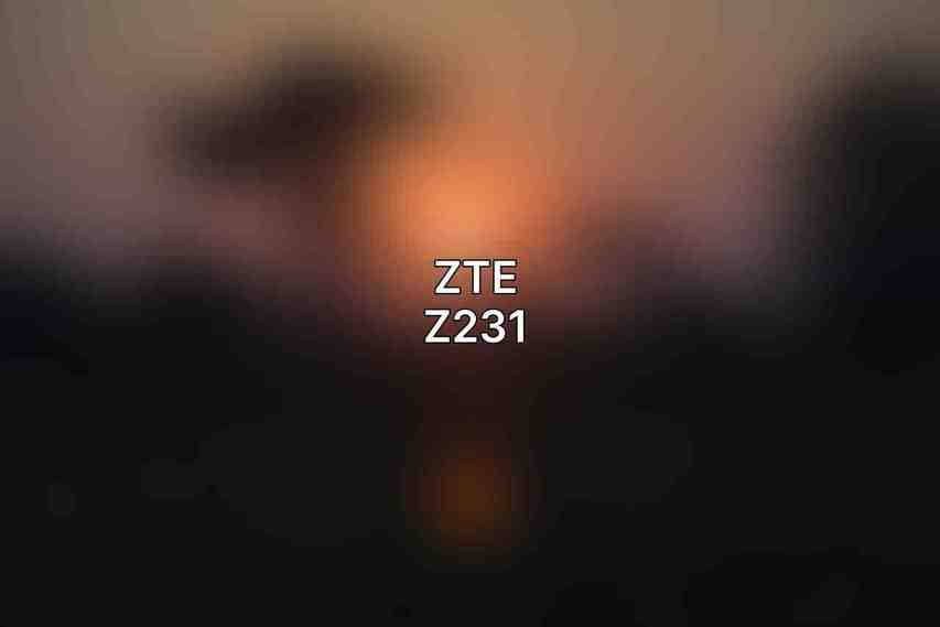 ZTE Z231