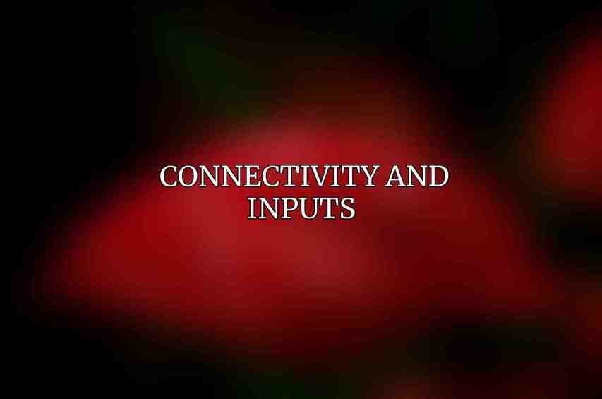 Connectivity and Inputs 