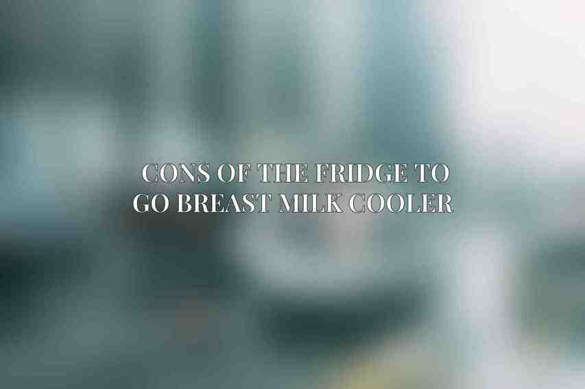 Cons of the Fridge to Go Breast Milk Cooler 