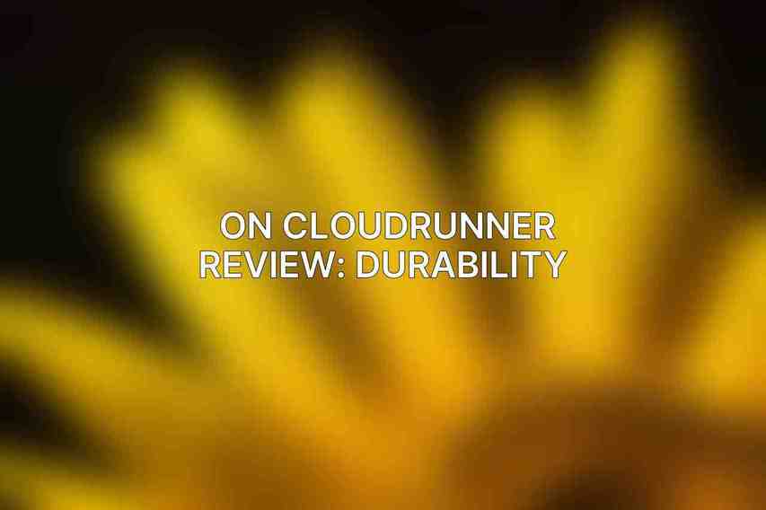 On Cloudrunner Review: Durability 