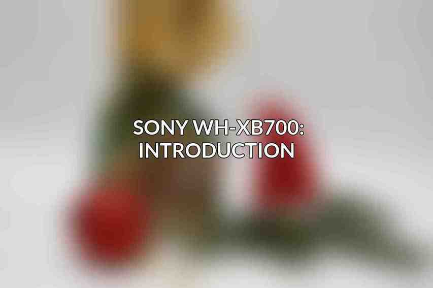 Sony WH-XB700: Introduction 