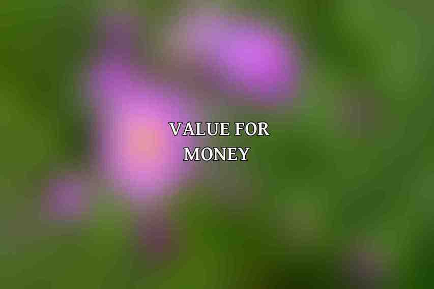 Value for Money 